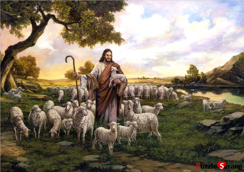 Shepherding the Heart